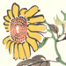 Tsunehide Katsura Gallery